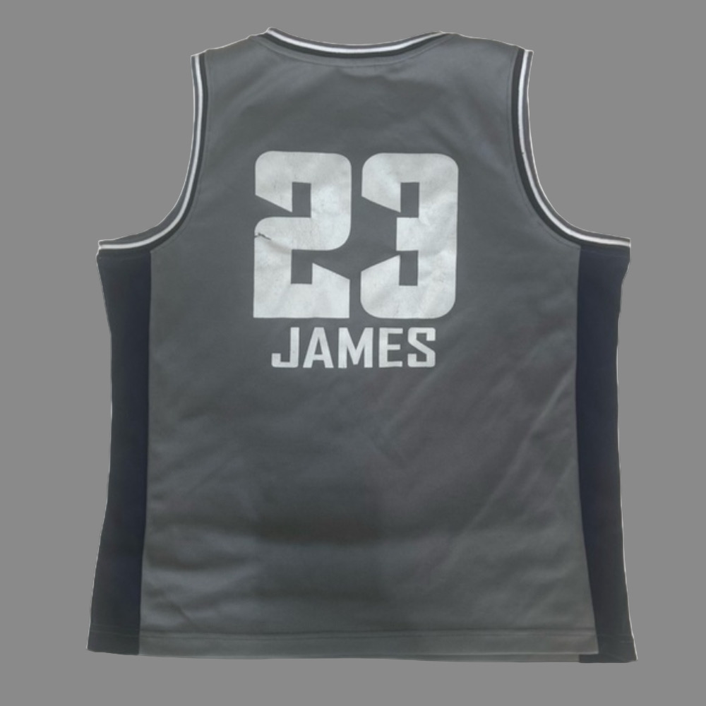 Lebron James 2020 NBA All Star Swingman Nike Basketball Team Jersey